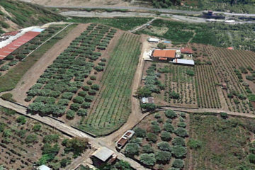 Vista terreno edificabile in vendita a Reggio Calabria in località Rugula